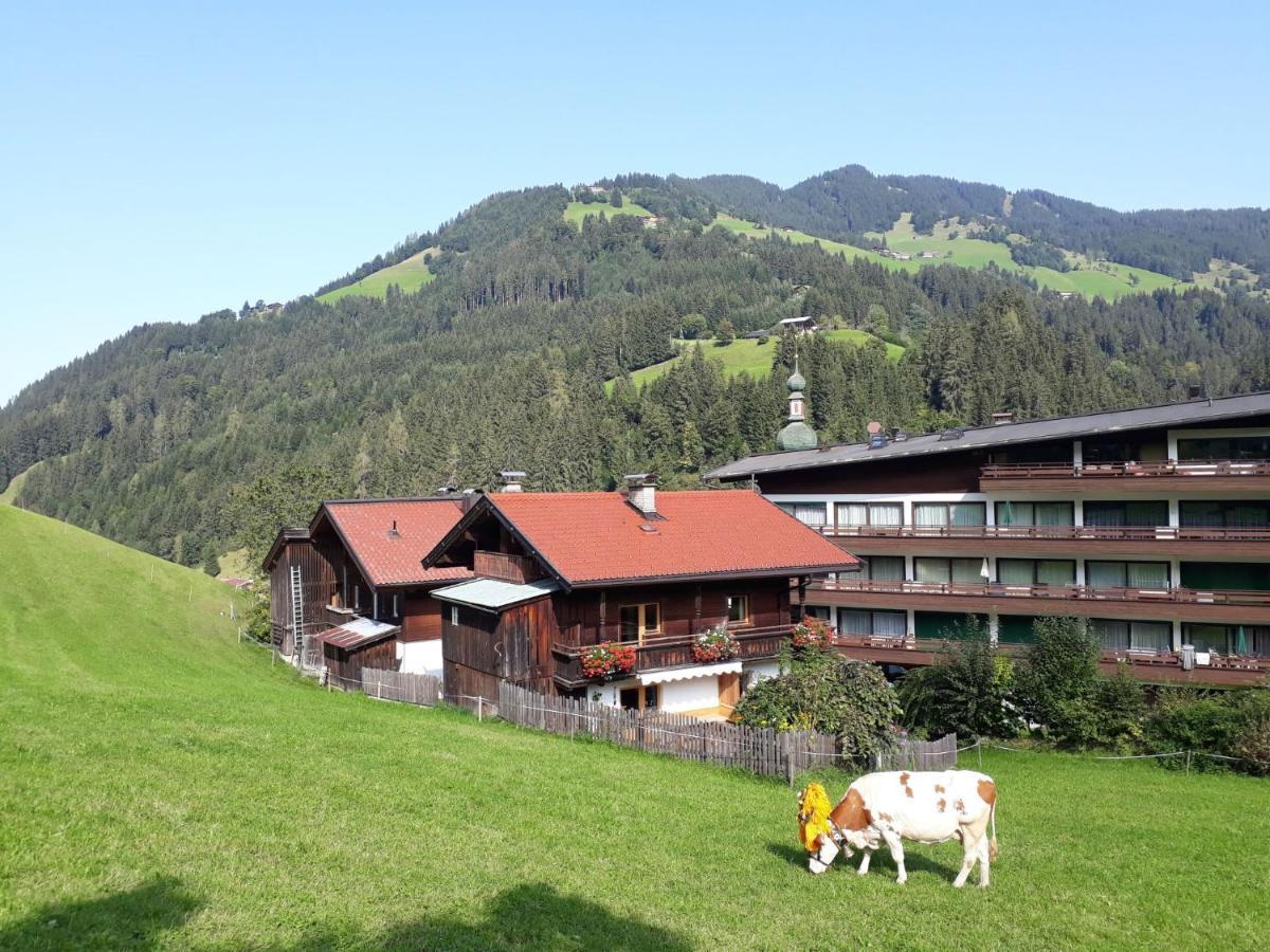 Holiday Home Sonnheim - Wil560 By Interhome Auffach Ngoại thất bức ảnh